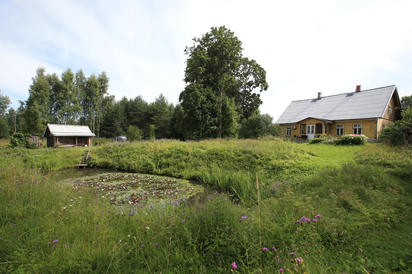 Verandalt avaneb üle lillevälja vaade tiigile.