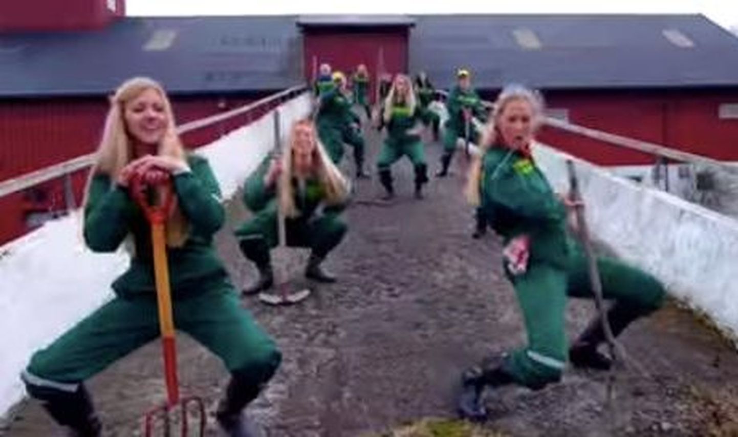 Norra farmereid toetav muusikavideo
