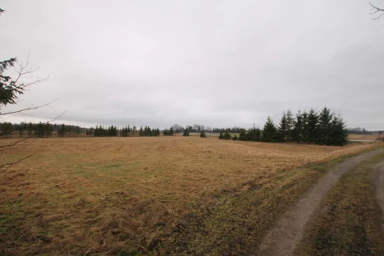 Elamumaa Järva vallas.