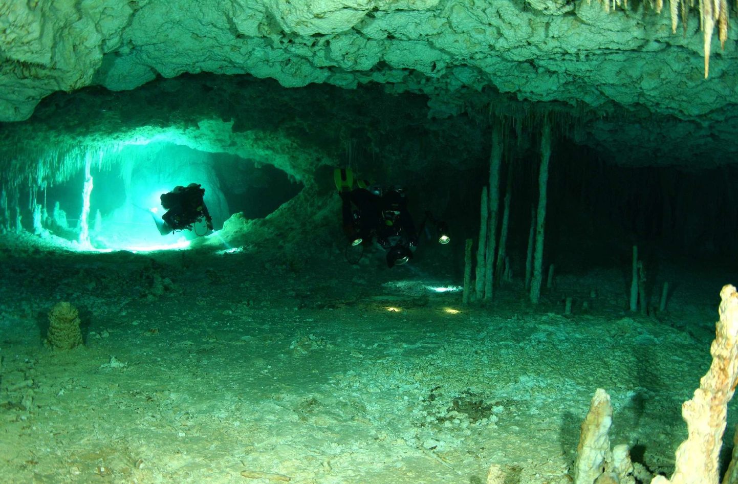 Venemaa endisest vabasukeldumise meistrist Natalja Avsejenkost sai Siberi Orda koopasse sukeldudes kummitusnaine