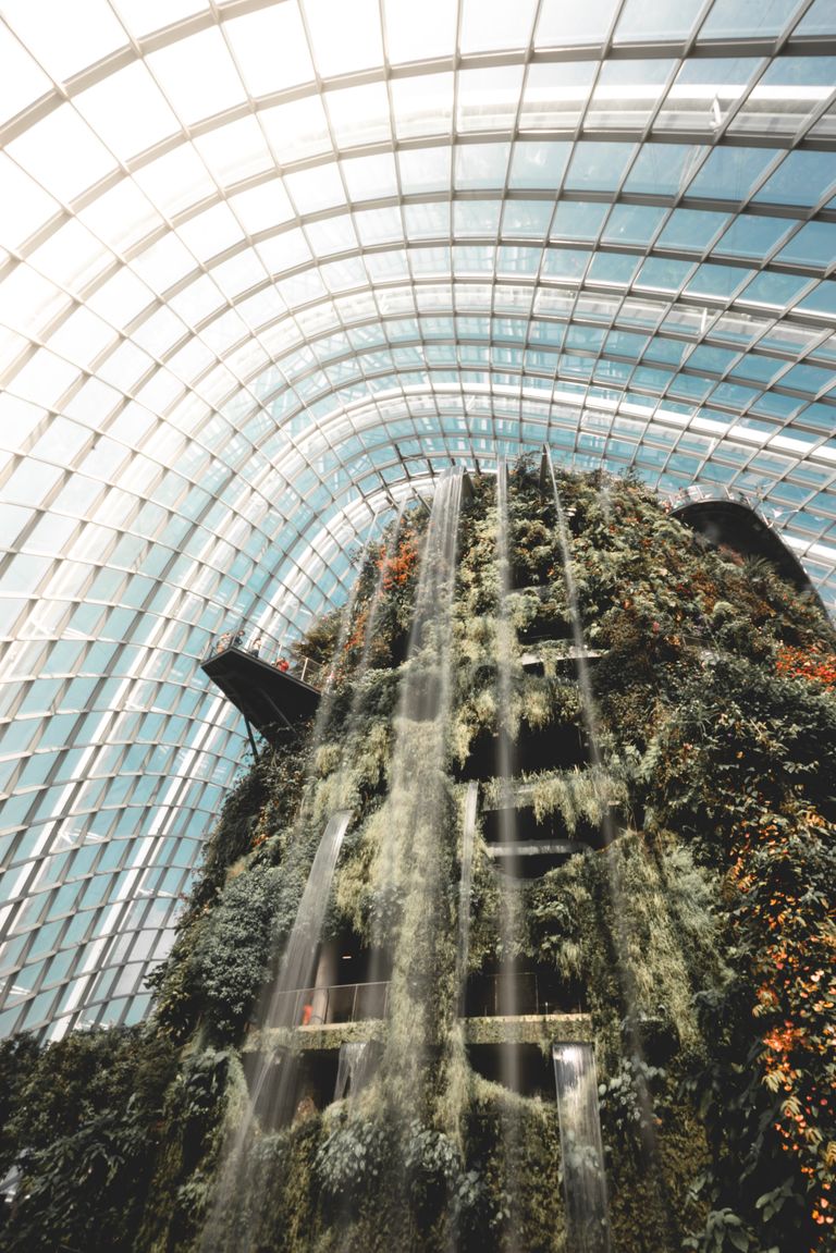 Mākslīgais ūdenskritums Singapūras botāniskajā dārzā 