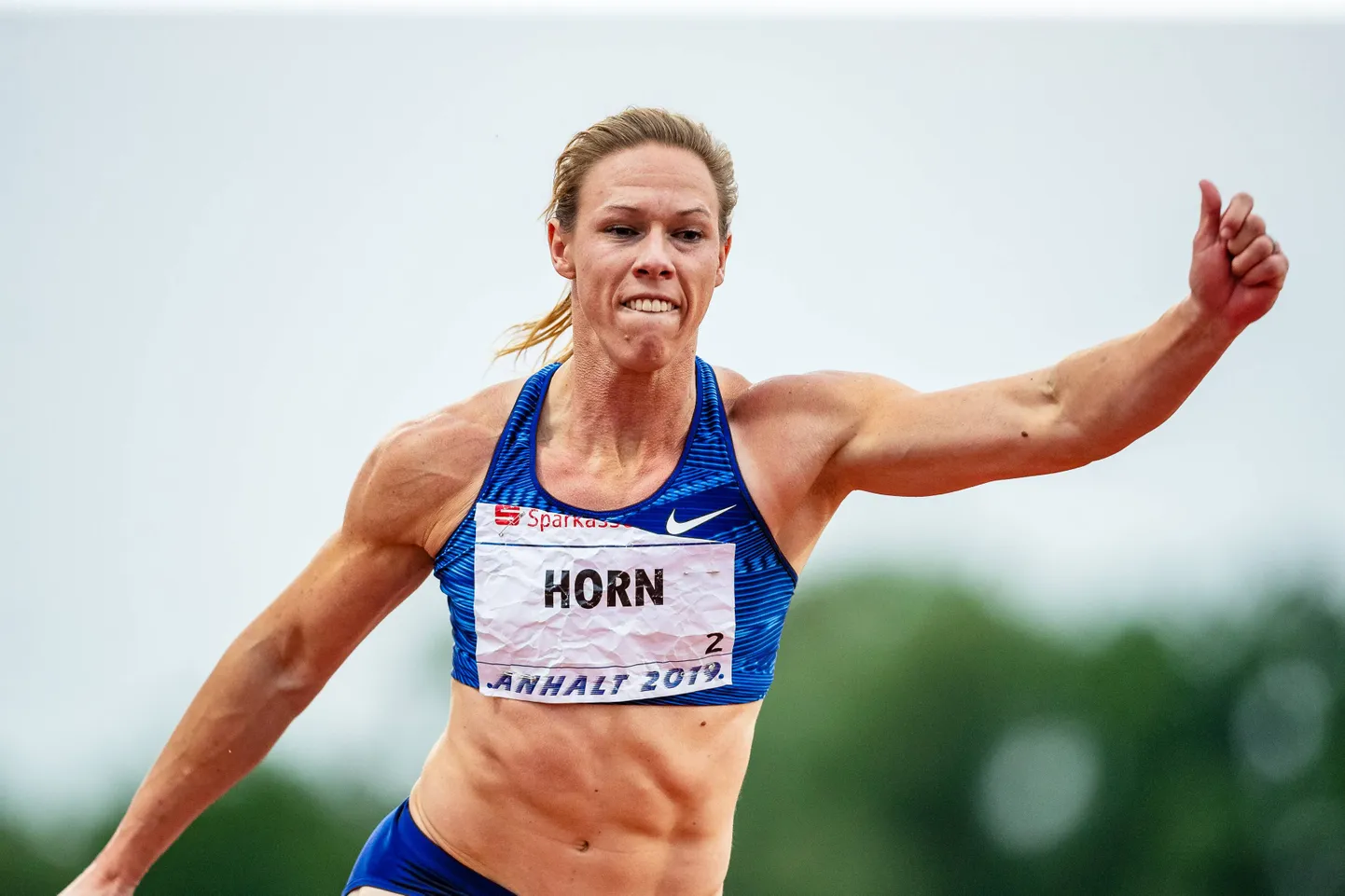 Carina Horn