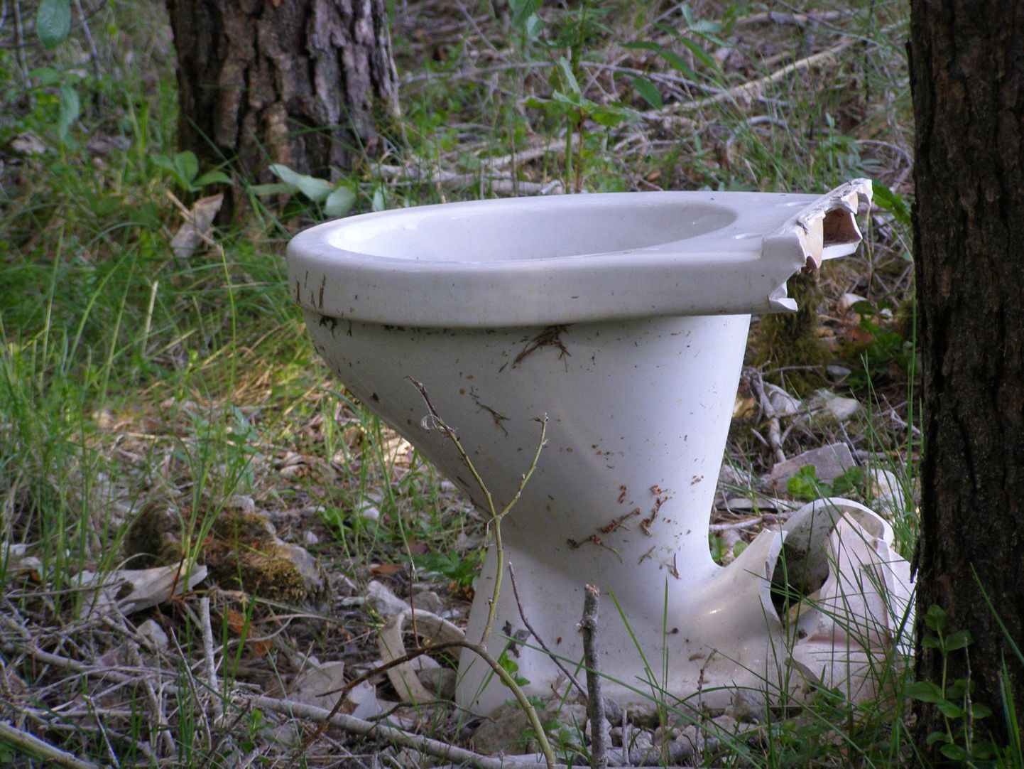 Metsa alla poetatud WC-pott.