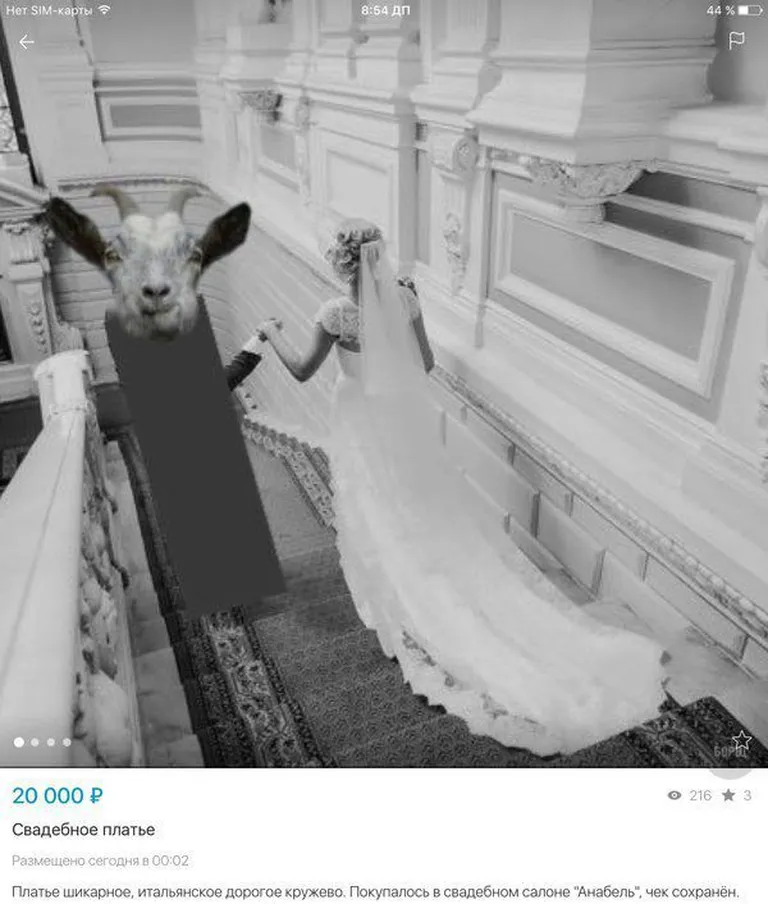 Фото статьи