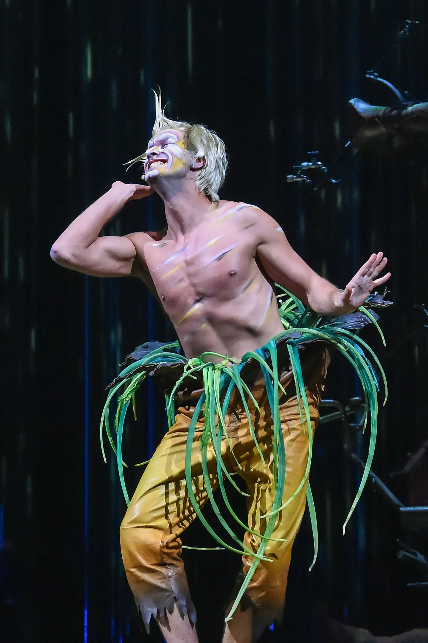 Шоу Varekai: Смотритель неба.