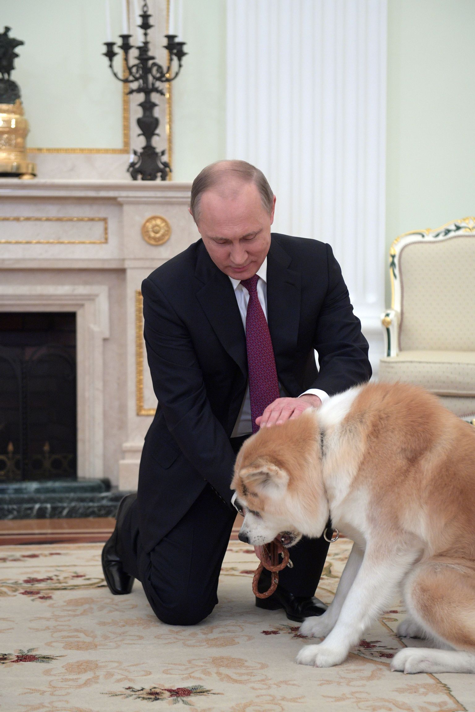 Путин со своим псом породы акита-ину - Юме.