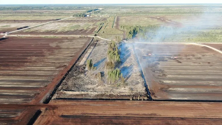 Põlenguala suurus on viis hektarit.