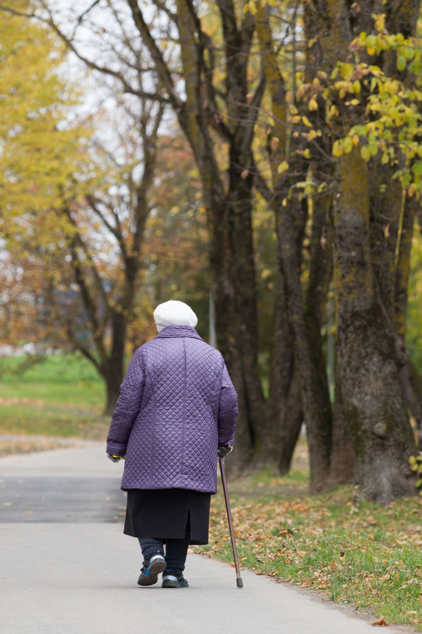 В государстве со стареющим и сокращающимся населением социальная защита требует все большего внимания.