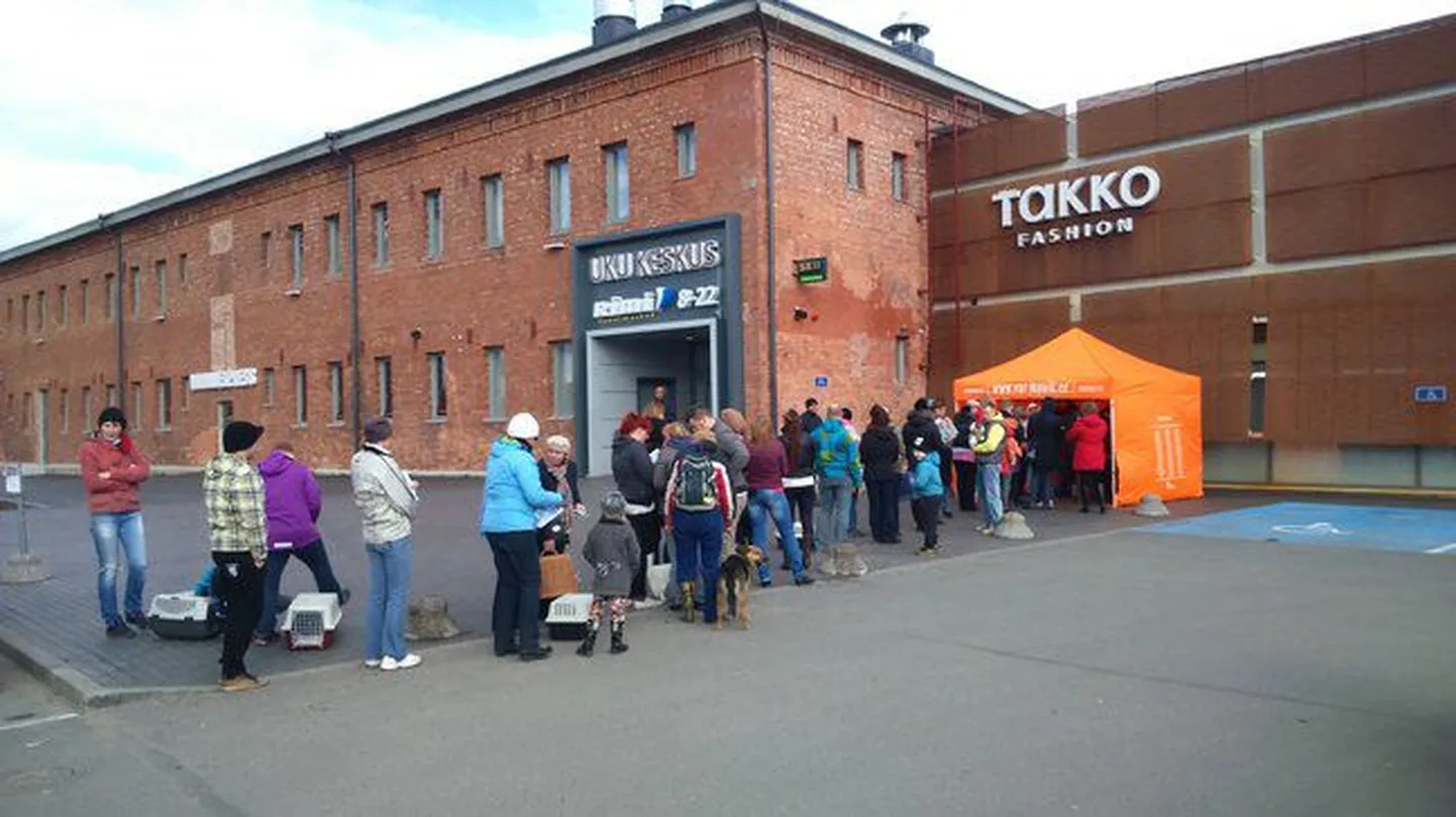 Oma koertele ja kassidele tasuta kiipi soovinud viljandlased ootejärjekorras.