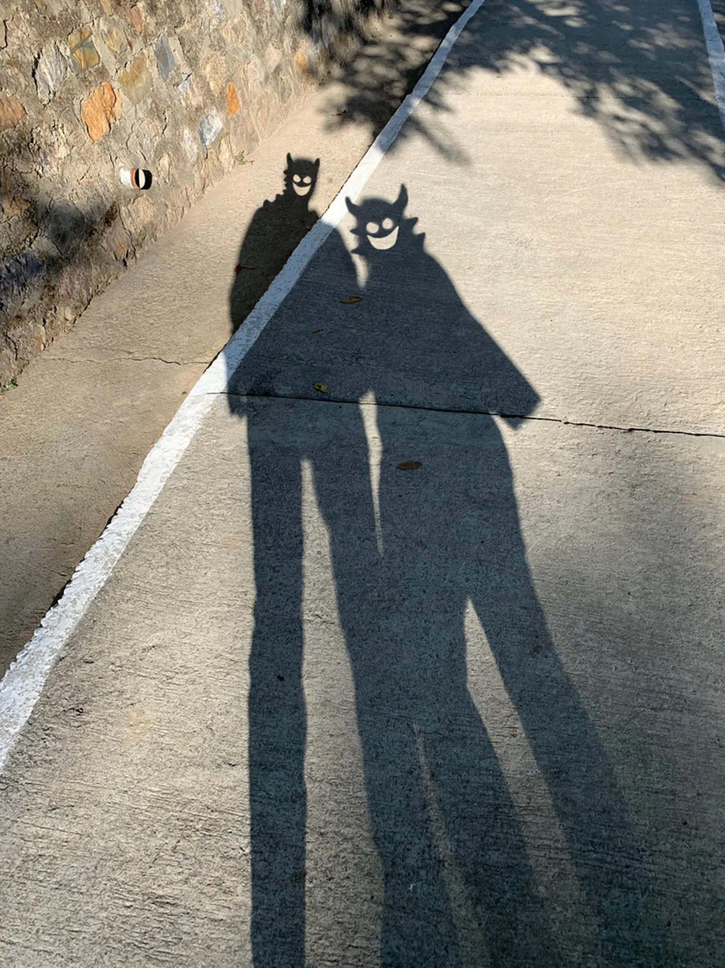 Artikli foto