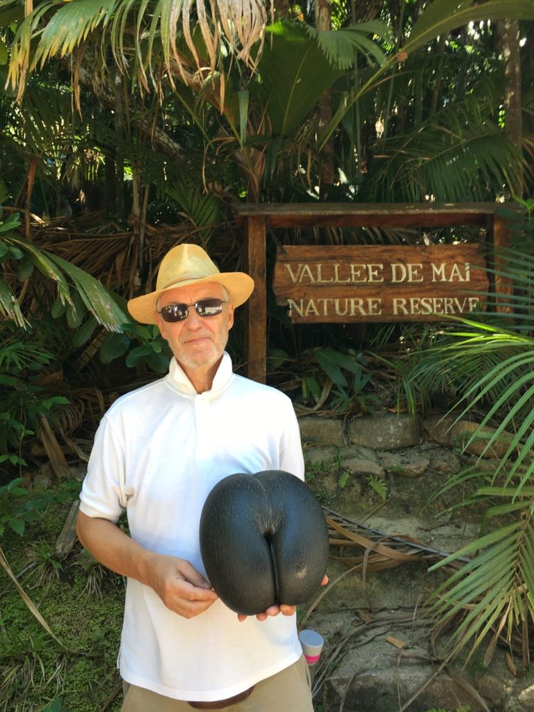 Ainult Seišellidel, Val de Mai reservaadis La Digue´i saarel kasvaval palmil on maailma suurim seeme, Coco de Mer.