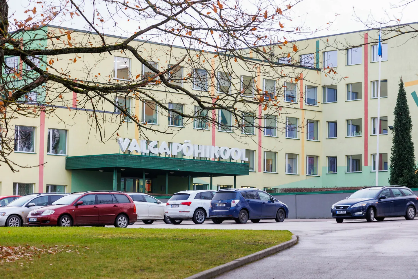 Фото статьи