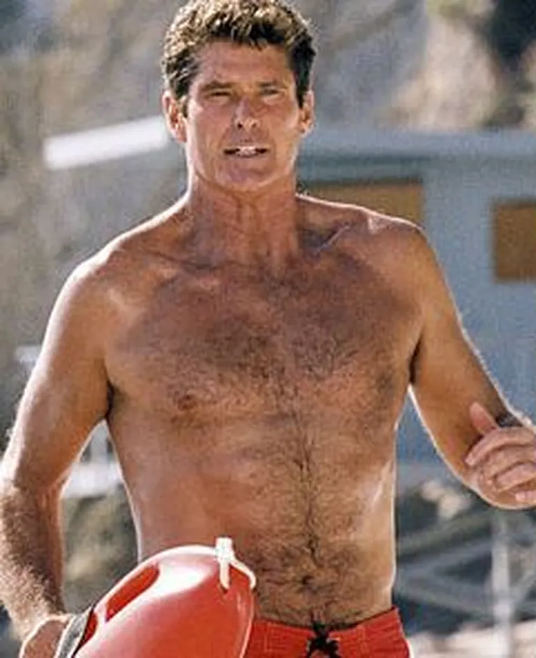David Hasselhoff seriaalis «Rannavalve» / wikipedia.org
