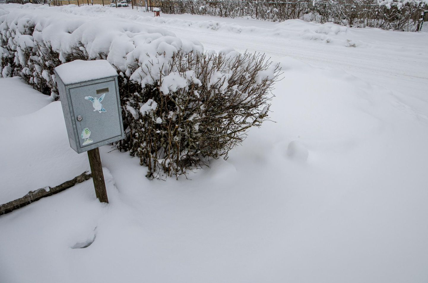 Omniva призывает владельцев очищать почтовые ящики и прилегающую территорию от снега и льда.