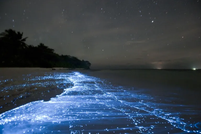 Vaadhoo saar / Scanpix