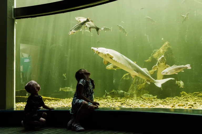 Maretarium.