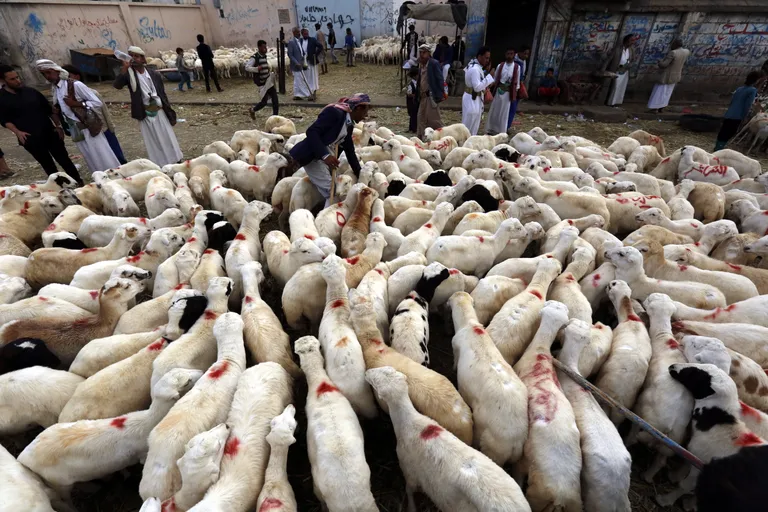Eid al-Hadhi usupüha tähistab hadži algust. Selle üheks riituseks on ohvriloomade hukkamine. Liha jaotatakse kolme osasse: üks perele, üks sõpradele-sugulastele ja üks vaestele. Eid al-Hadhiks valmistumine Jeemenis.