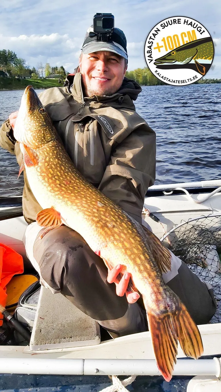 Margo Tuul tõmbas Pärnu jõest välja üheksakilose haugi ja lasi ta vette tagasi.