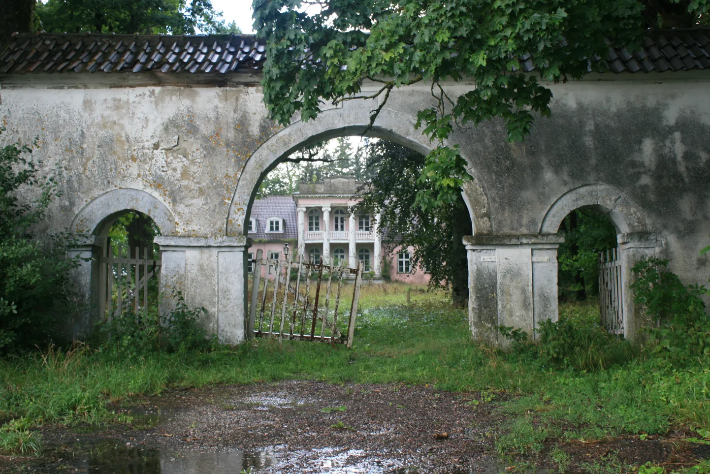 Artikli foto