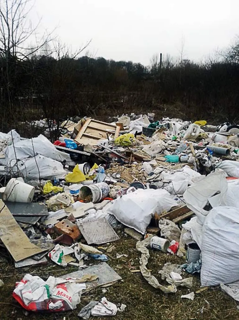 Raksta foto