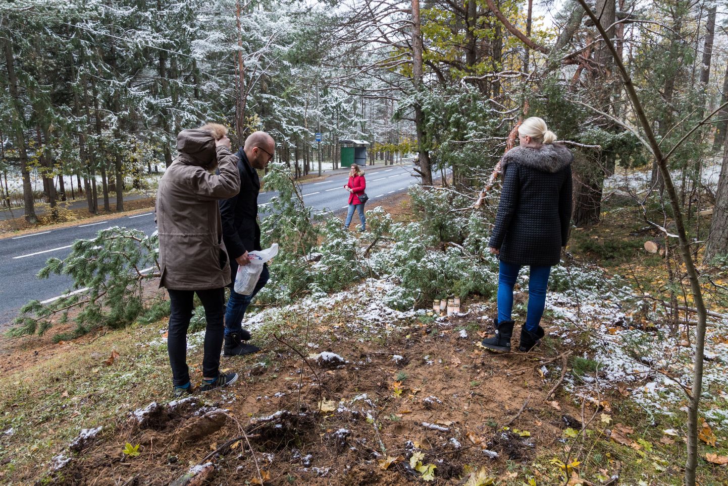 Tallinnas Pärnamäe teel hukkus juhitavuse kaotanud ja vastu puud sõitnud autos kolm noort meest.