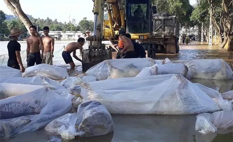 Vietnami üleujutuses hukkunud sead