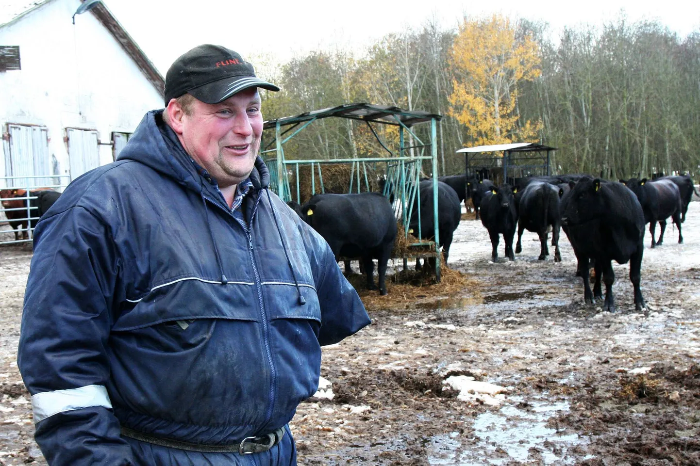 Mahedalt kasvavate loomade ja teravilja müümisel kasutab Uus-Vainu mahetalu peremees Raido Raba mahe­tootjaid ühendava tulundusühistu Eesti Mahe abi, sest ühiselt on lihtsam.