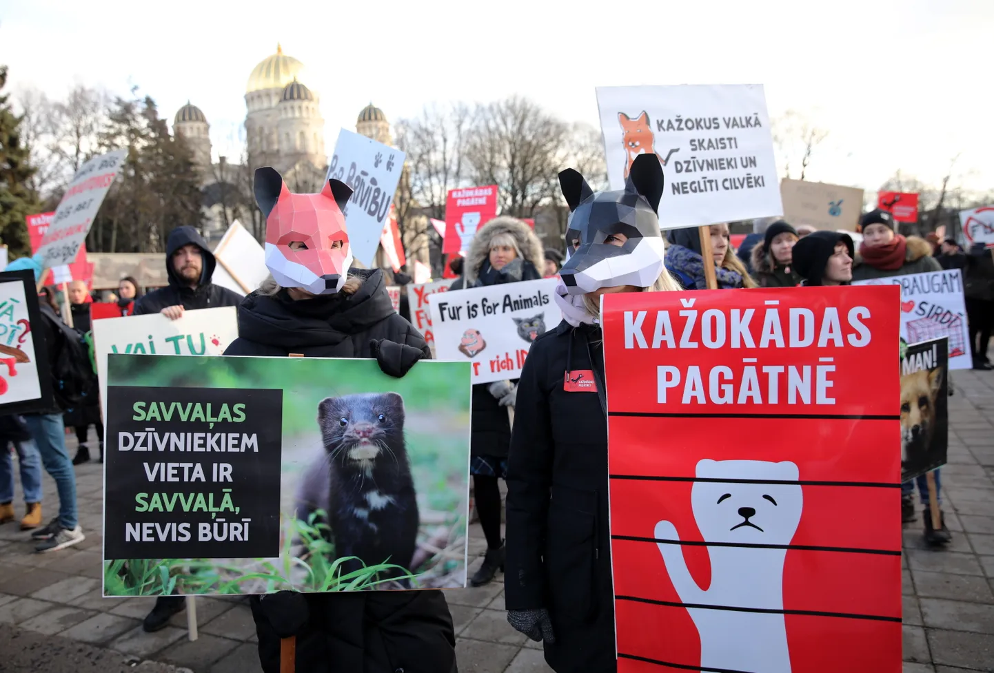 Notiek biedrības "Dzīvnieku brīvība" rīkots gājiens "Kažokādas pagātnē" dzīvnieku aizstāvēšanai no kažokādu industrijas.