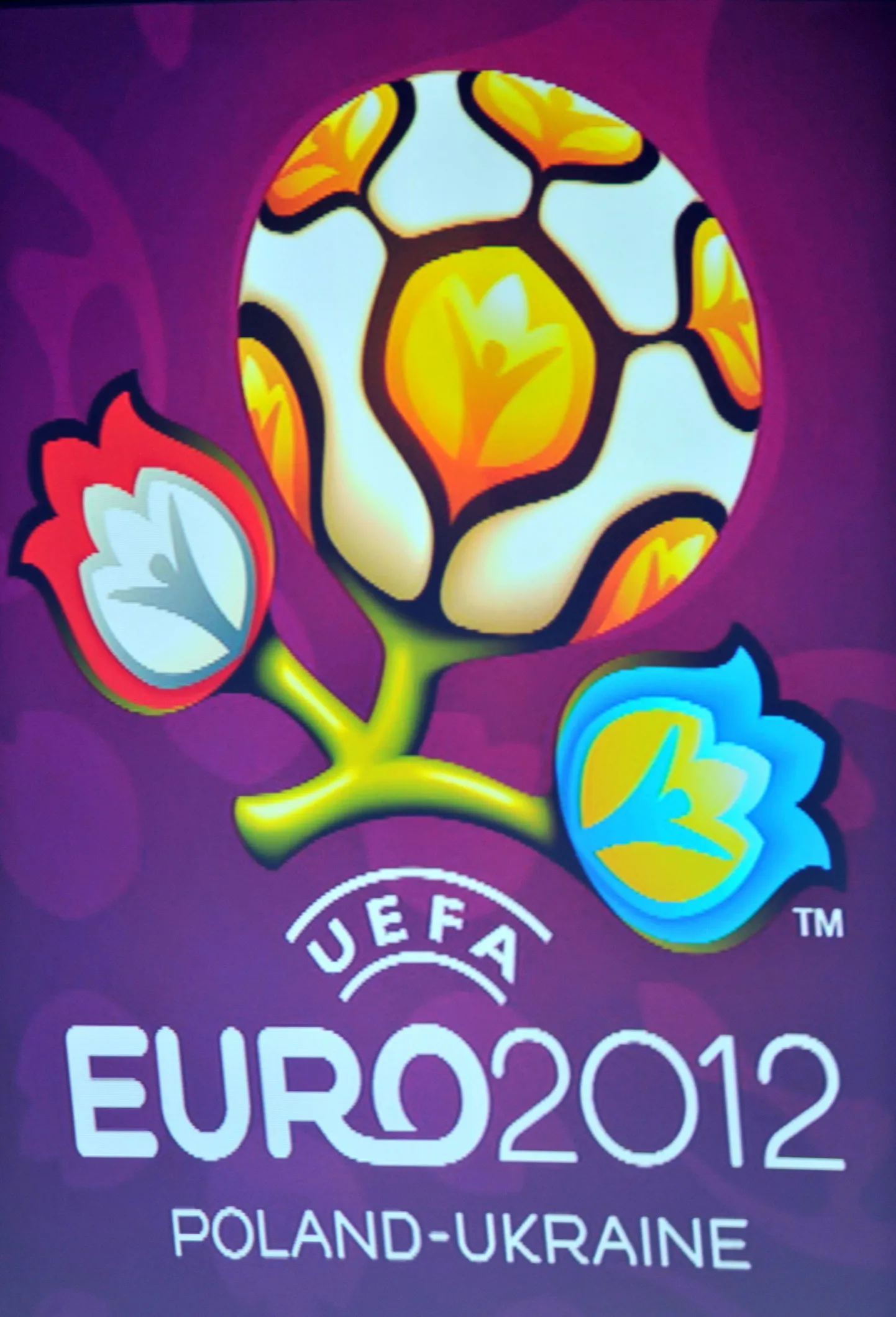Эмблема чемпионата Европы 2012 года.
