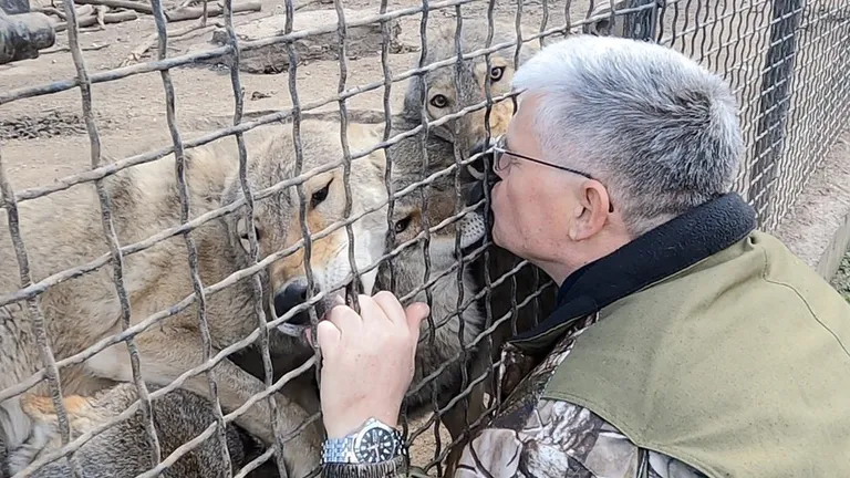 Вольер с волками в одесском зоопарке.