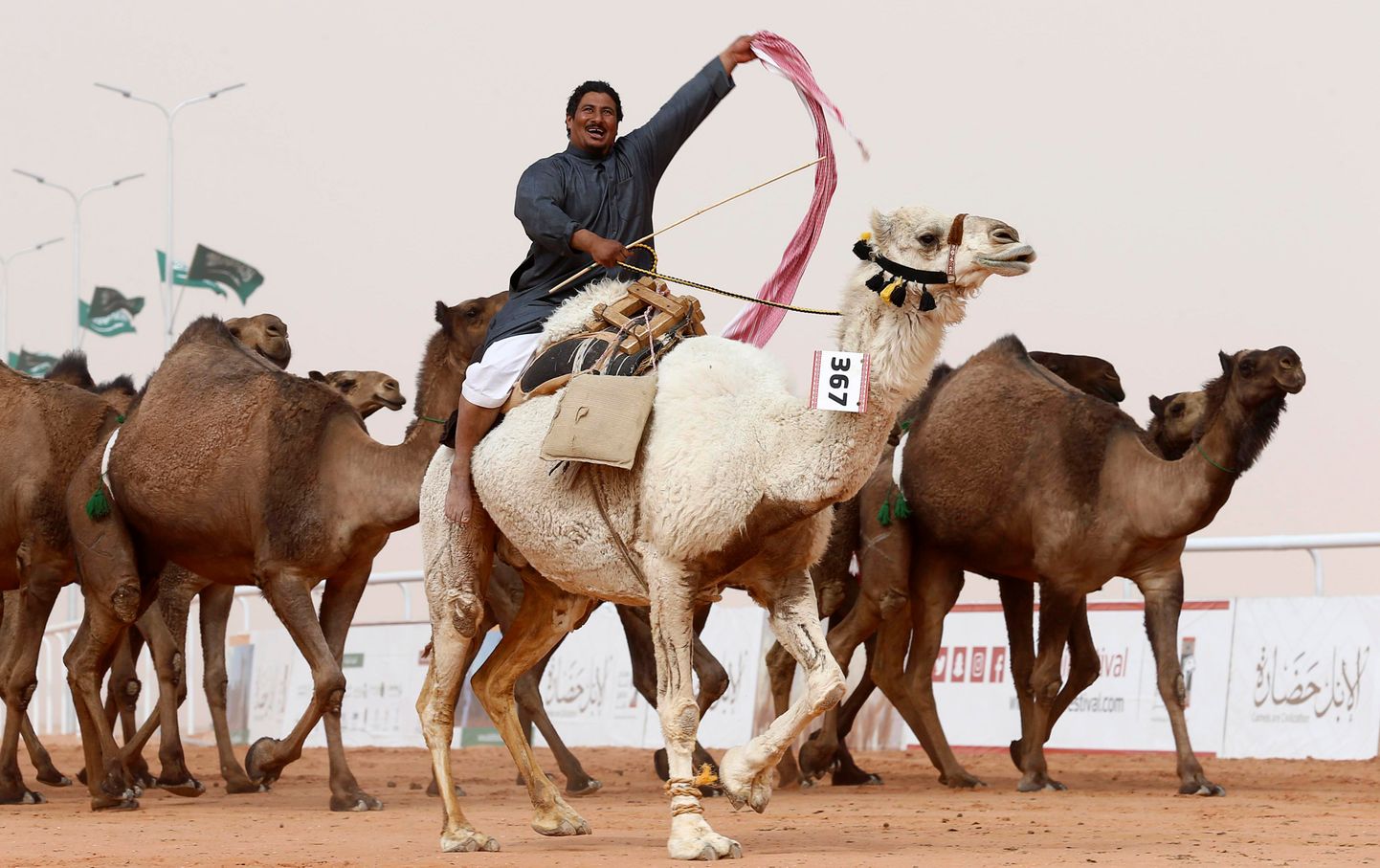 Mees kuningas Abdulazizi kaamelifestivalil.