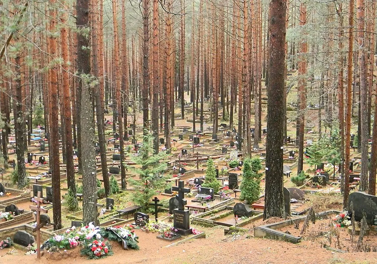 Кладбище Riigiküla