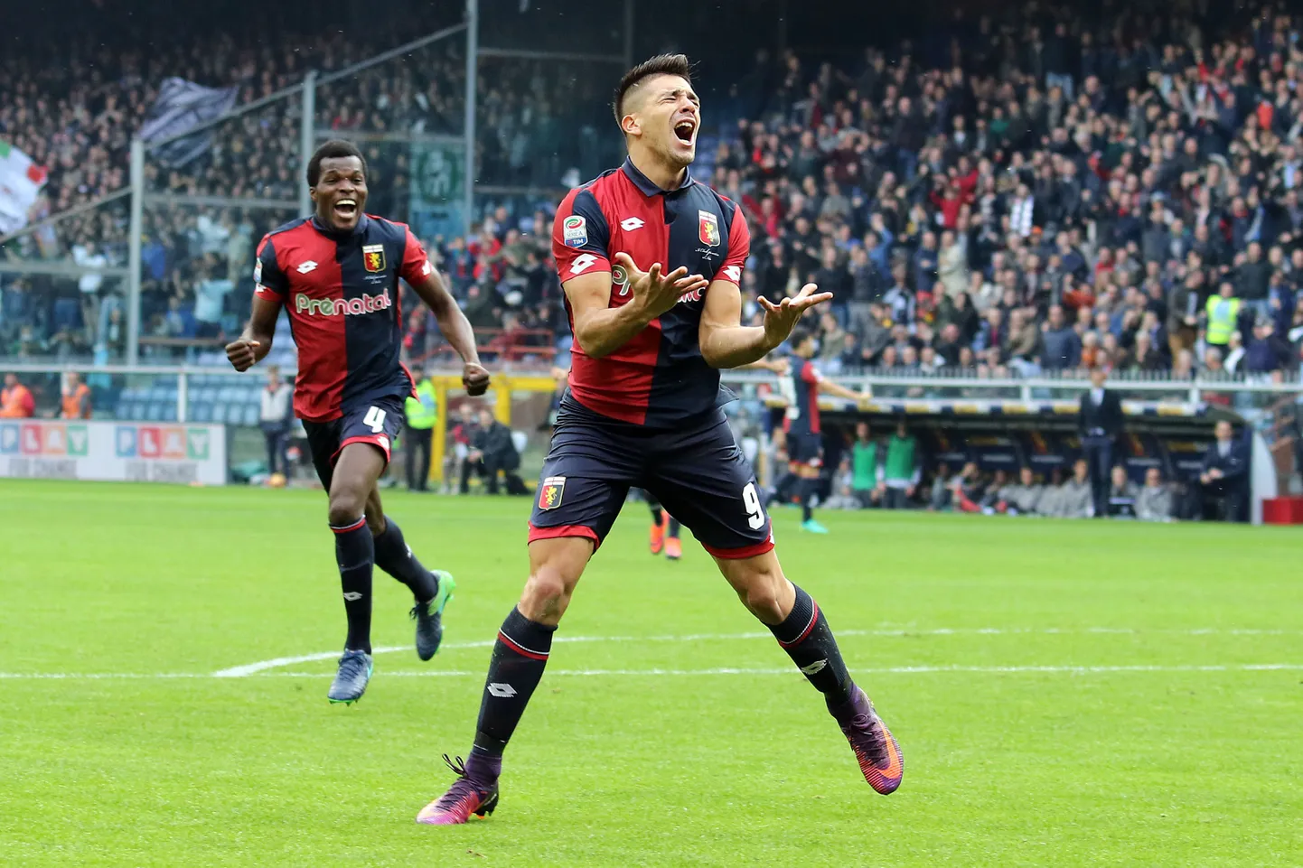 Giovanni Simeone väravat tähistamas.