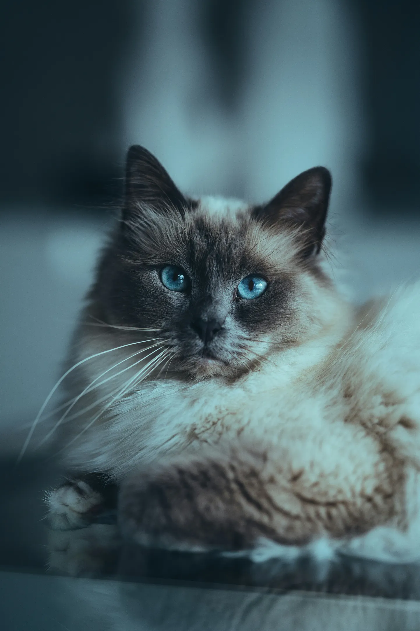 Raksta foto
