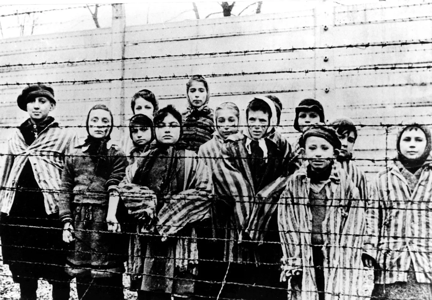Lapsed Auschwitzi koonduslaagris.