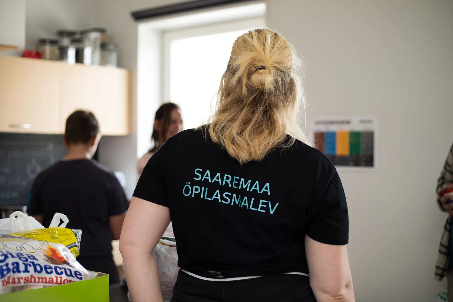 Saaremaa õpilasmalev