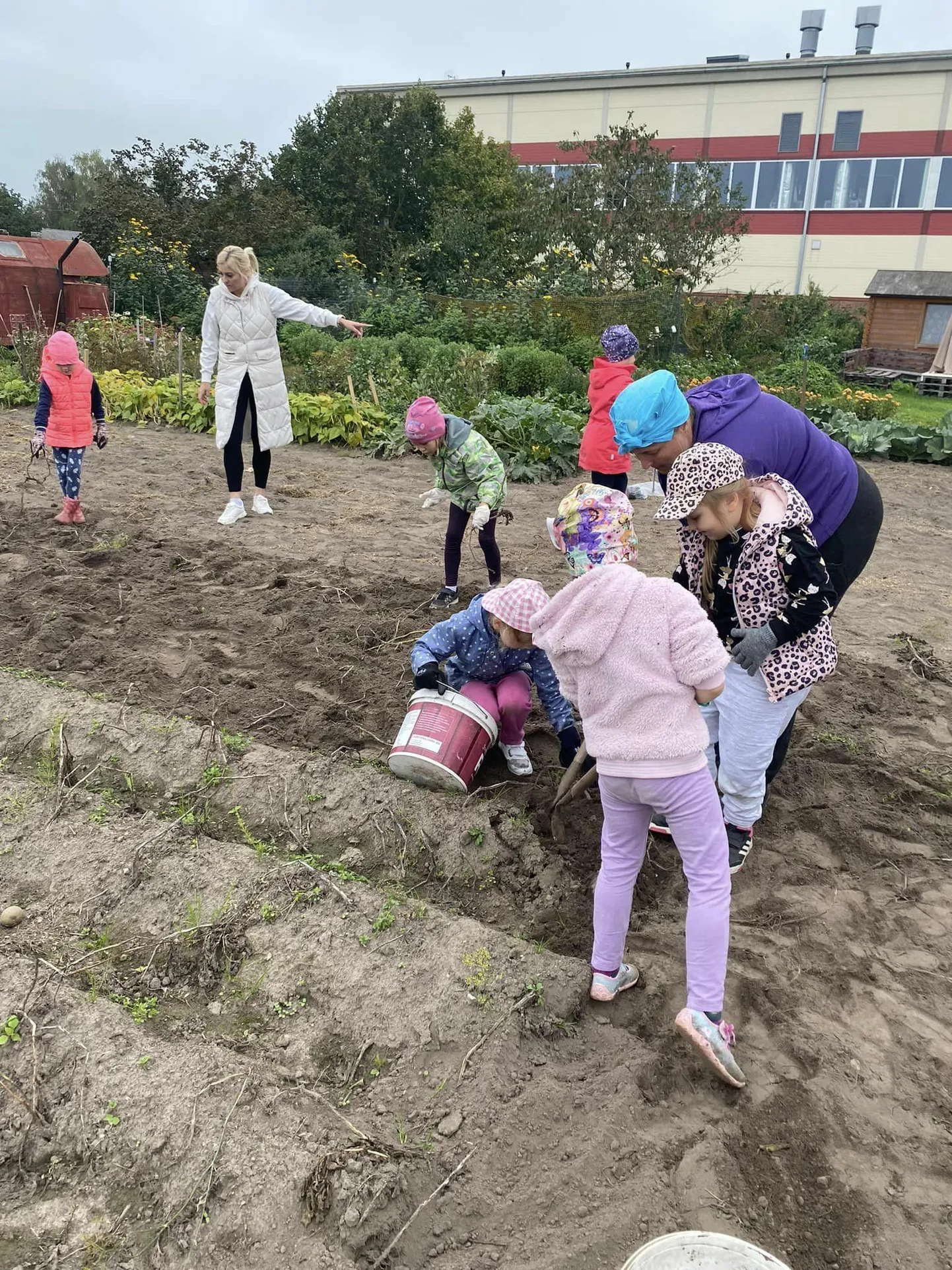 Lasteaia Mesimummide rühm külastas kuu alguses rühmakaaslase vanaema ning aitas tal vitamiinide varasalve kartulivõtuga täiendada. Vitamiine läheb tarvis kõigil, et viirushooajal terve püsida.