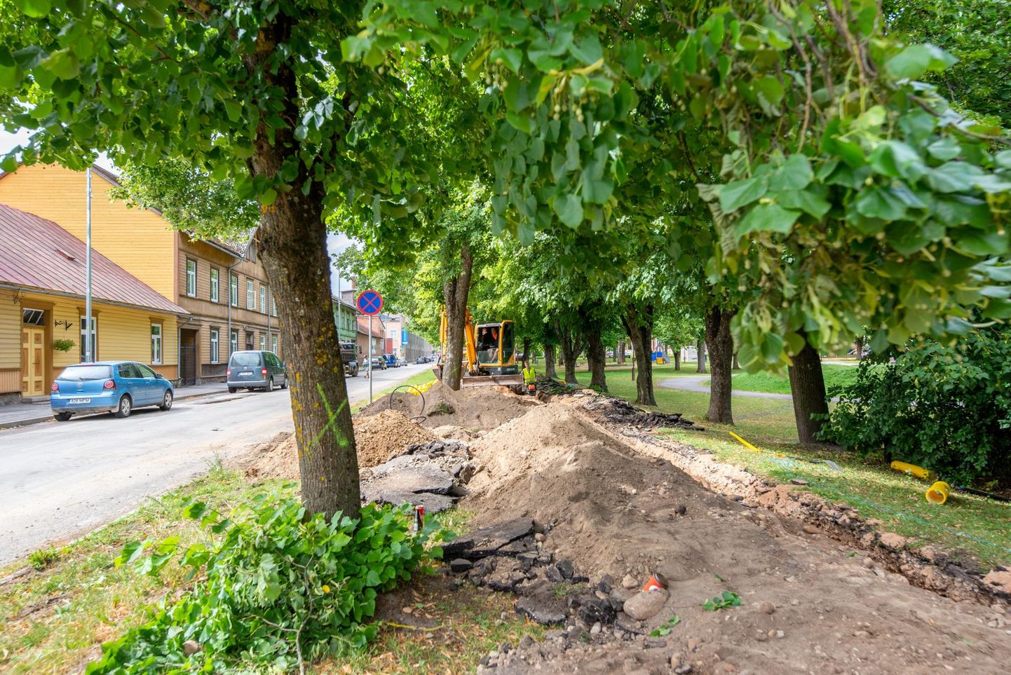 Viljandi linnavalitsus plaanib Uue tänava äärsed puud maha võtta, et teha ruumi kergliiklusteele.