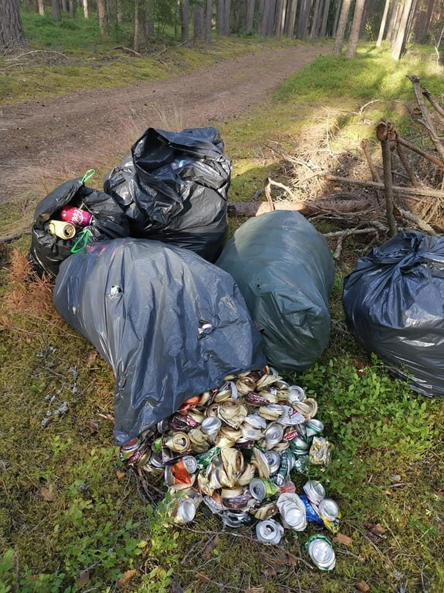 Pürgistaja oli metsa sokutanud mitu suurt prügikotti tundmatut taarat.