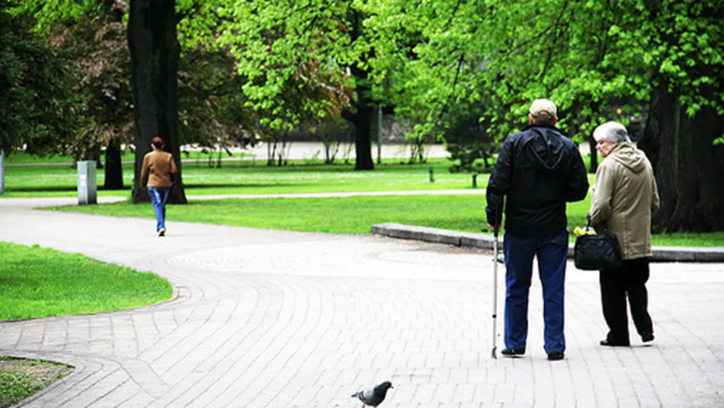 Фото статьи