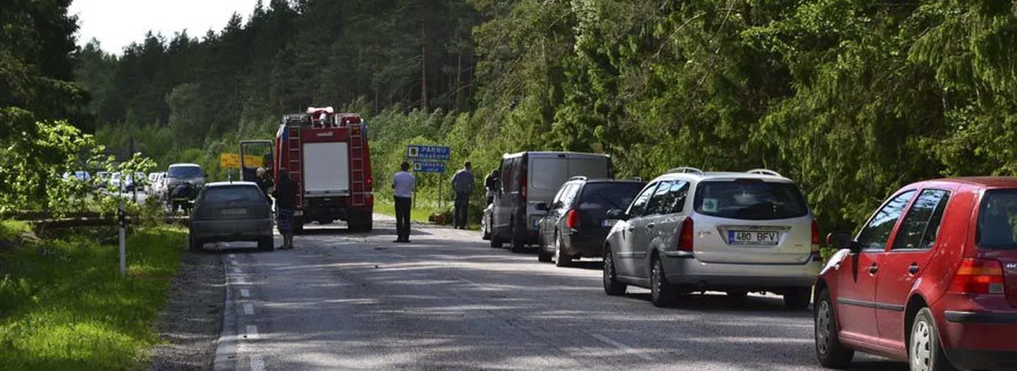 Kootsis, veidi enne Pärnumaa piiri, katkestas puu mõneks ajaks kahe maakonna vahel liikluse.