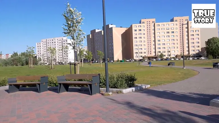 Фото статьи