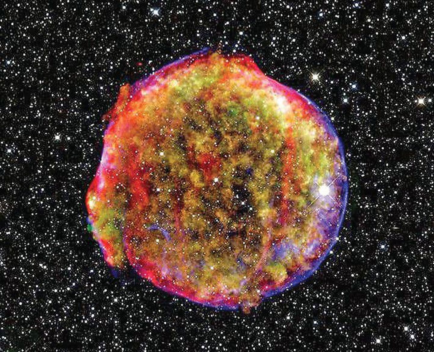 Сверхновая звезда, исследование которой в итоге привело троих ученых к Нобелевской премии по физике.