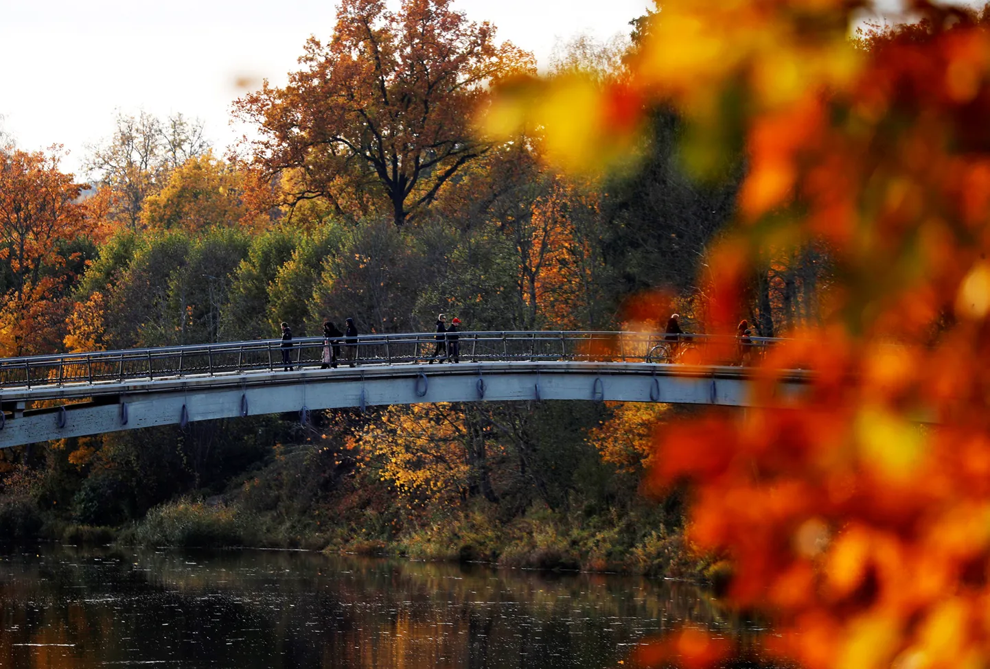 Мост через реку Огре осенью