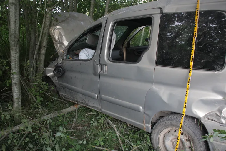 51-летняя женщина выехала на Citroen Berlingo с дороги налево прямо в деревья.