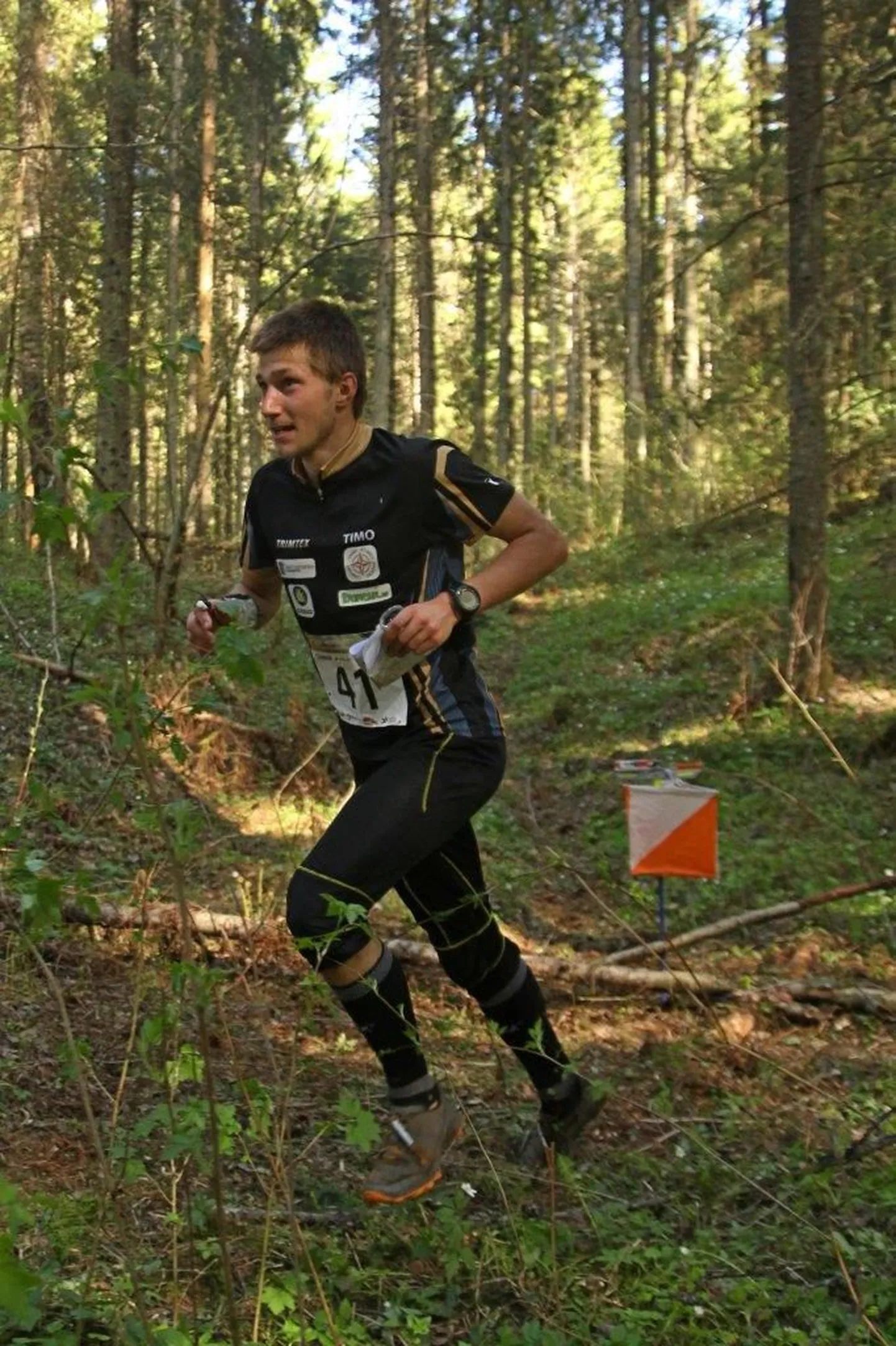Timo Sild