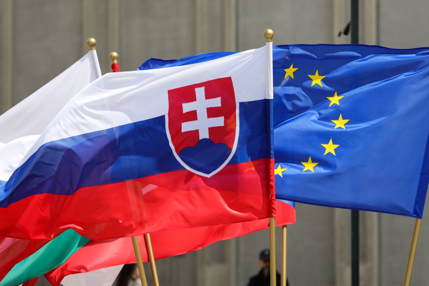 Флаги Словакии и ЕС.