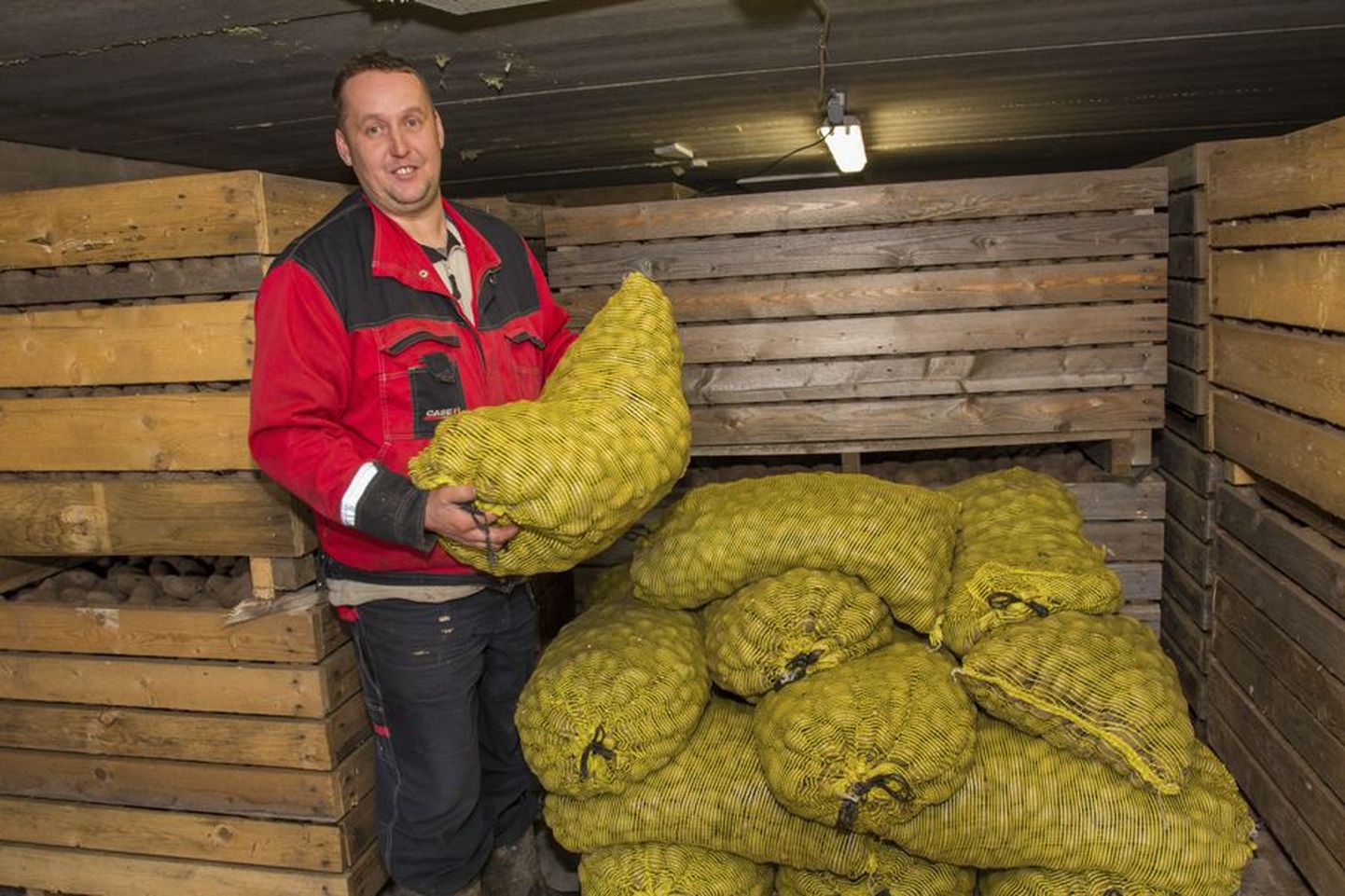 «Laura» on talunik Taivo Jaaksoo sõnul eestlaste seas populaarne kartulisort. Seda müüvad paljud talumehed ka lehekuulutuse abil, küsides kilo eest enamasti 25 senti. Kojuvedu on hinna sees.