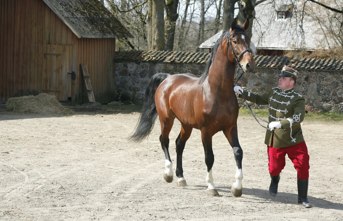 President Ilves tutvumas Tori uhkuse, 1856. aastal rajatud hobusekasvandusega, kus talle esitleti kaunemaid hobuseid.