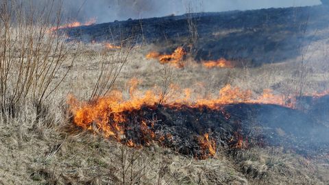 Viljandimaal pisteti rinda kulupõlengutega